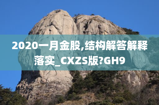 2020一月金股,结构解答解释落实_CXZS版?GH9