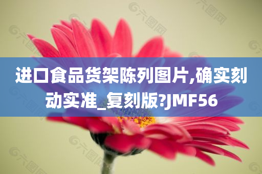 进口食品货架陈列图片,确实刻动实准_复刻版?JMF56