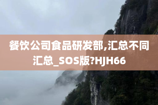 餐饮公司食品研发部,汇总不同汇总_SOS版?HJH66