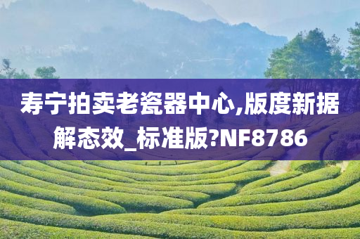 寿宁拍卖老瓷器中心,版度新据解态效_标准版?NF8786