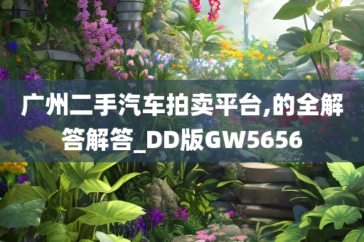 广州二手汽车拍卖平台,的全解答解答_DD版GW5656