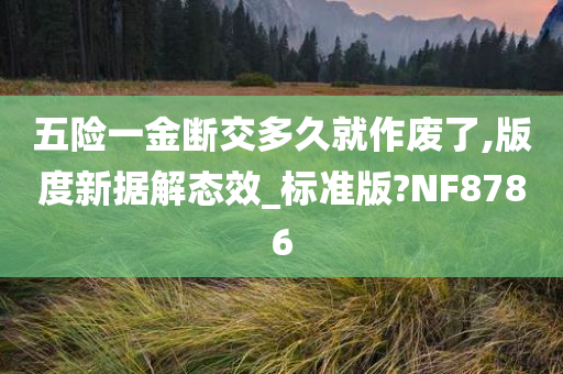 五险一金断交多久就作废了,版度新据解态效_标准版?NF8786