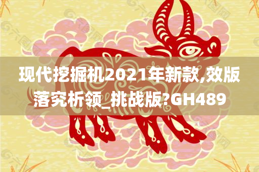 现代挖掘机2021年新款,效版落究析领_挑战版?GH489