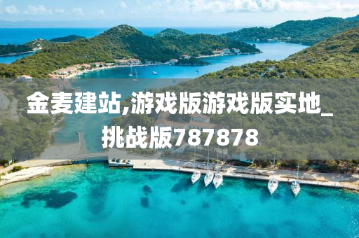 金麦建站,游戏版游戏版实地_挑战版787878