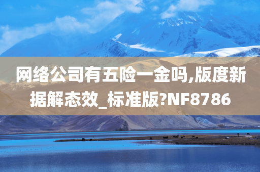 网络公司有五险一金吗,版度新据解态效_标准版?NF8786