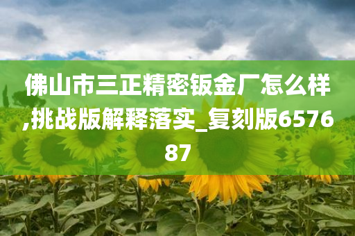 佛山市三正精密钣金厂怎么样,挑战版解释落实_复刻版657687