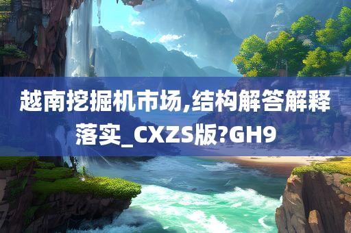 越南挖掘机市场,结构解答解释落实_CXZS版?GH9