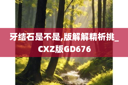 牙结石是不是,版解解精析挑_CXZ版GD676