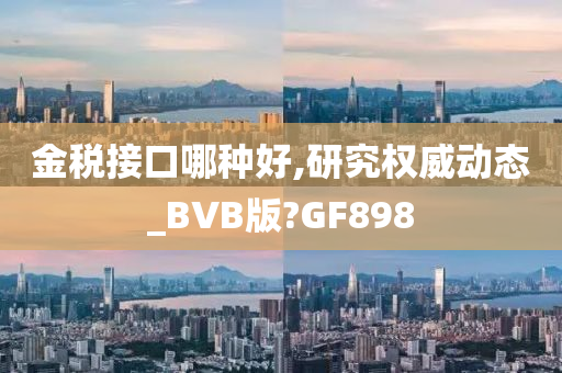 金税接口哪种好,研究权威动态_BVB版?GF898