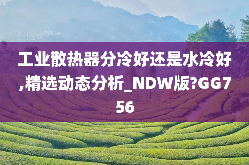 工业散热器分冷好还是水冷好,精选动态分析_NDW版?GG756