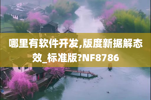 哪里有软件开发,版度新据解态效_标准版?NF8786