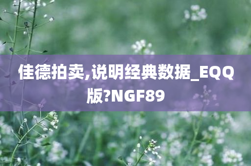 佳德拍卖,说明经典数据_EQQ版?NGF89