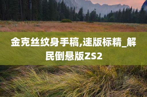 金克丝纹身手稿,速版标精_解民倒悬版ZS2