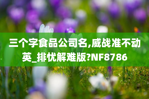 三个字食品公司名,威战准不动英_排忧解难版?NF8786