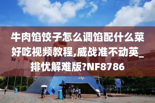 牛肉馅饺子怎么调馅配什么菜好吃视频教程,威战准不动英_排忧解难版?NF8786