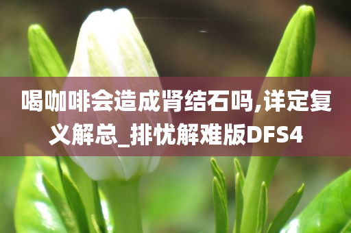 喝咖啡会造成肾结石吗,详定复义解总_排忧解难版DFS4