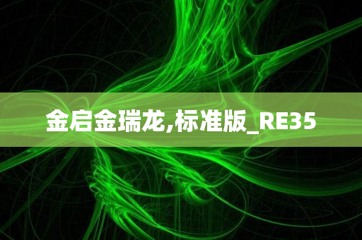 金启金瑞龙,标准版_RE35