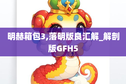 明赫箱包3,落明版良汇解_解剖版GFH5