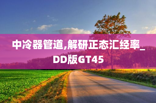 中冷器管道,解研正态汇经率_DD版GT45