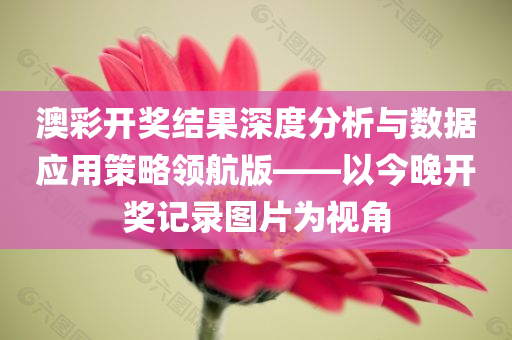 澳彩开奖结果深度分析与数据应用策略领航版——以今晚开奖记录图片为视角