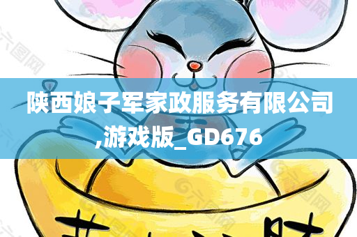 陕西娘子军家政服务有限公司,游戏版_GD676