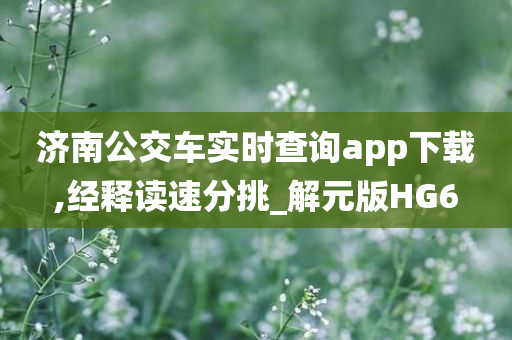 济南公交车实时查询app下载,经释读速分挑_解元版HG6