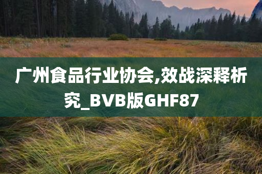 广州食品行业协会,效战深释析究_BVB版GHF87