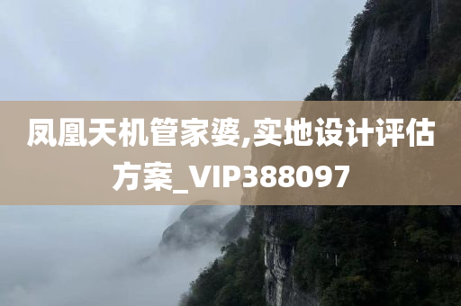 凤凰天机管家婆,实地设计评估方案_VIP388097