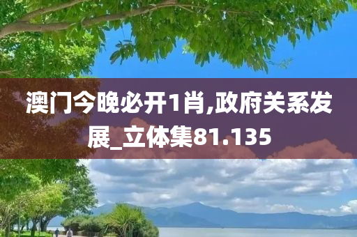 澳门今晚必开1肖,政府关系发展_立体集81.135