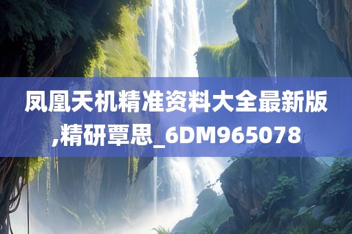 凤凰天机精准资料大全最新版,精研覃思_6DM965078