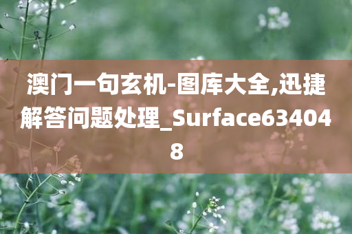 澳门一句玄机-图库大全,迅捷解答问题处理_Surface634048