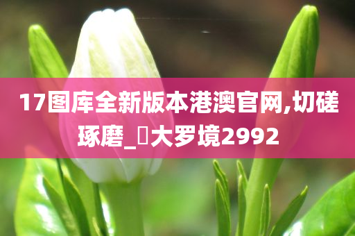 17图库全新版本港澳官网,切磋琢磨_‌大罗境2992