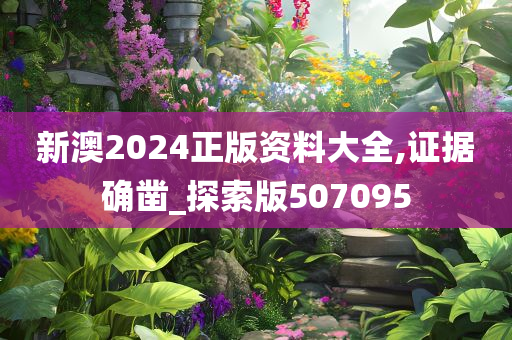 新澳2024正版资料大全,证据确凿_探索版507095