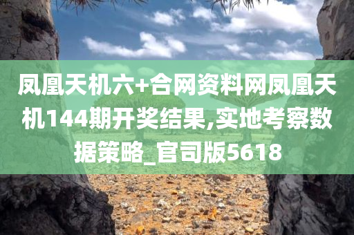 凤凰天机六+合网资料网凤凰天机144期开奖结果,实地考察数据策略_官司版5618