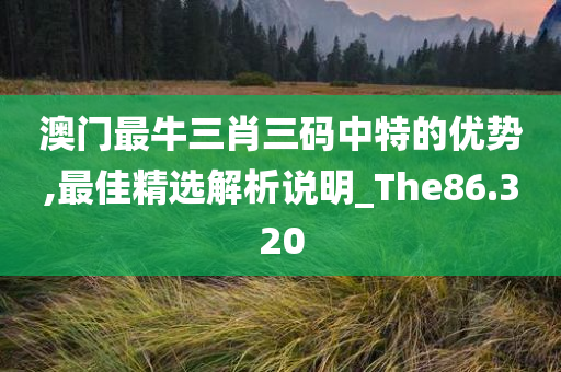 澳门最牛三肖三码中特的优势,最佳精选解析说明_The86.320