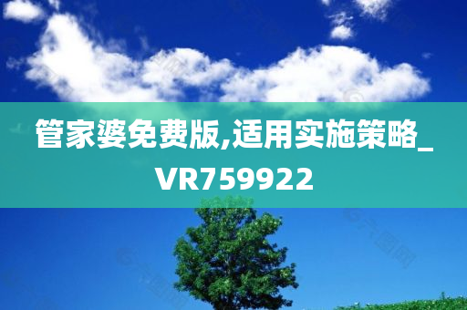 管家婆免费版,适用实施策略_VR759922