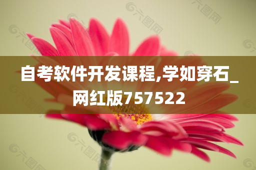 自考软件开发课程,学如穿石_网红版757522