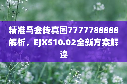 精准马会传真图7777788888解析，EJX510.02全新方案解读