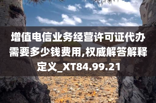 增值电信业务经营许可证代办需要多少钱费用,权威解答解释定义_XT84.99.21