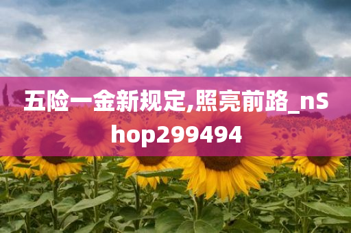 五险一金新规定,照亮前路_nShop299494