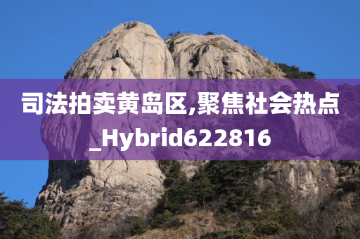 司法拍卖黄岛区,聚焦社会热点_Hybrid622816