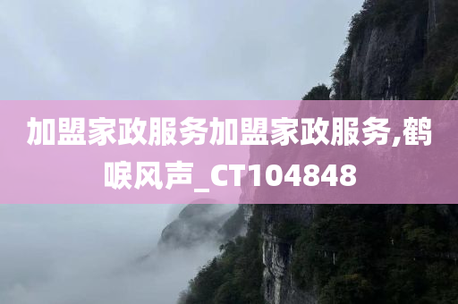 加盟家政服务加盟家政服务,鹤唳风声_CT104848