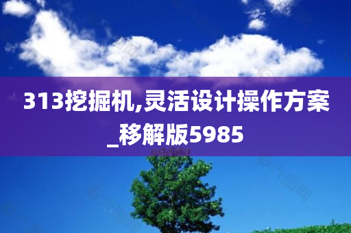 313挖掘机,灵活设计操作方案_移解版5985