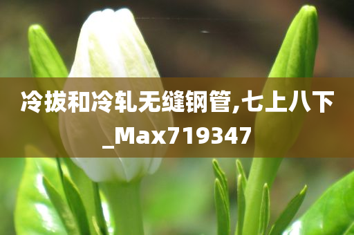 冷拔和冷轧无缝钢管,七上八下_Max719347