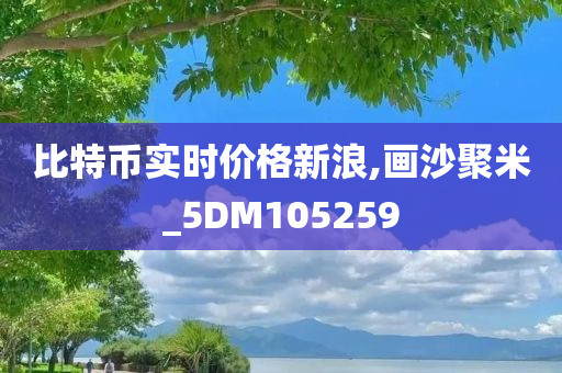 比特币实时价格新浪,画沙聚米_5DM105259