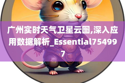 广州实时天气卫星云图,深入应用数据解析_Essential754997