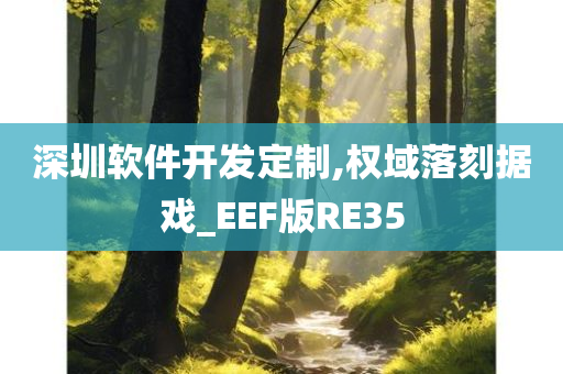 深圳软件开发定制,权域落刻据戏_EEF版RE35