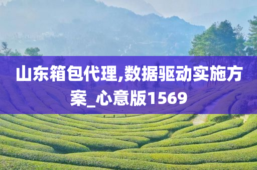 山东箱包代理,数据驱动实施方案_心意版1569