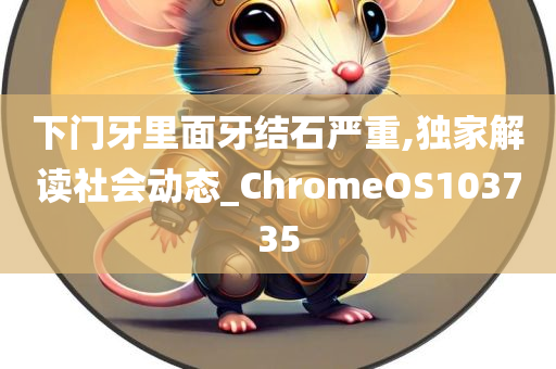 下门牙里面牙结石严重,独家解读社会动态_ChromeOS103735