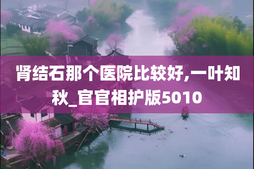 肾结石那个医院比较好,一叶知秋_官官相护版5010